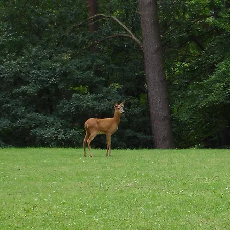 Appartement Wald Hamburg 2